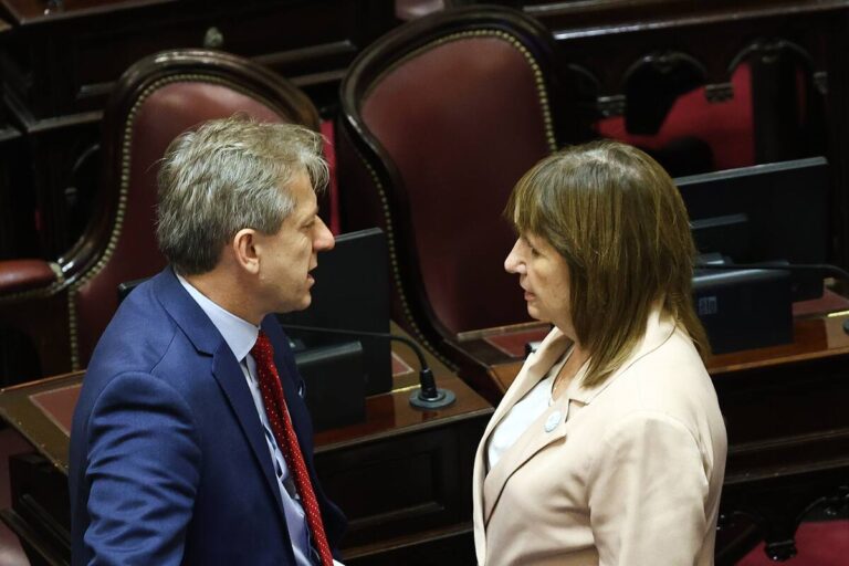 patricia-bullrich-con-el-senador-senador-radical-PDZPTKSYDBDWFGTXI5FDNZVUWU