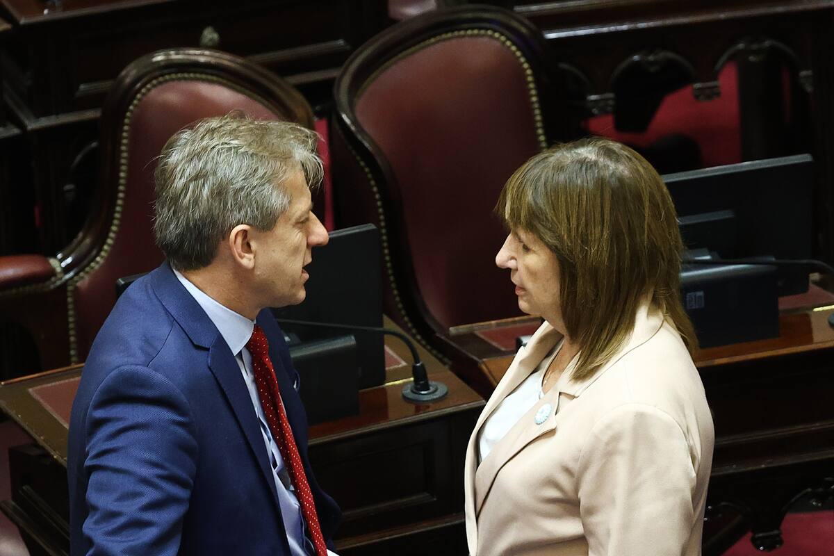 patricia-bullrich-con-el-senador-senador-radical-PDZPTKSYDBDWFGTXI5FDNZVUWU